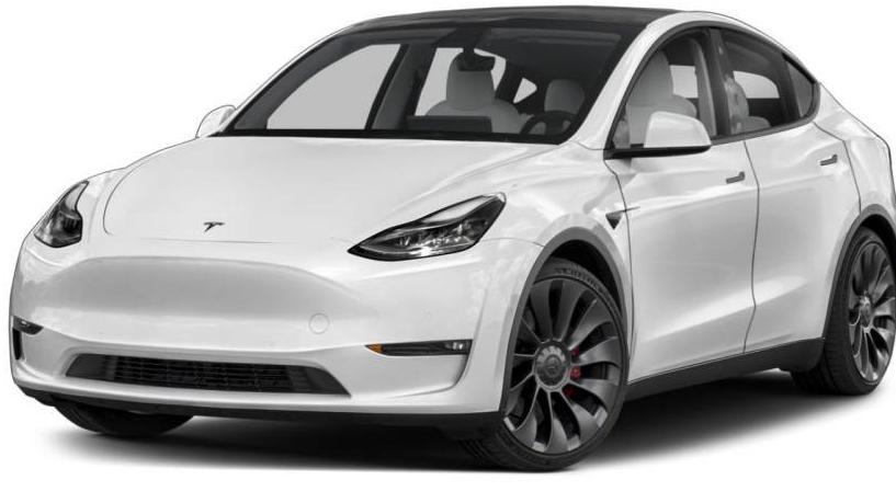 TESLA MODEL Y 2021 5YJYGDEE0MF121127 image